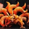 Kurama - Naruto - Zhen Yi