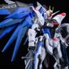 Gundam Strike Freedom - Shildwache