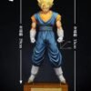 Dragon Ball Z - Vegetto - C3