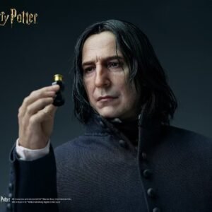 Harry Potter - Severus Snape - Inart