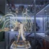 Tyrael -  Aries studio (Taurus studio)