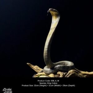 King Cobra - Snake Gorge