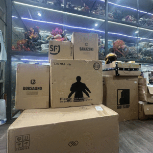 Hàng về 9/10/2025