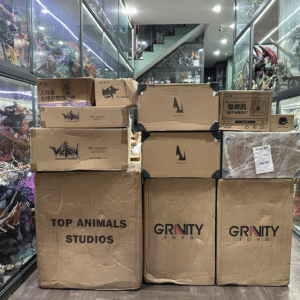 Hàng về 20/11/2025