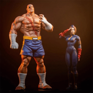 Street Fighter - Sagat & Juli - PCS