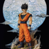Dragon Ball - Son Gohan - WDF