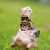 Dr.Slump - Arale - Tor