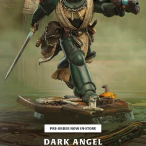 Warhammer - Dark Angels Veteran - Weta