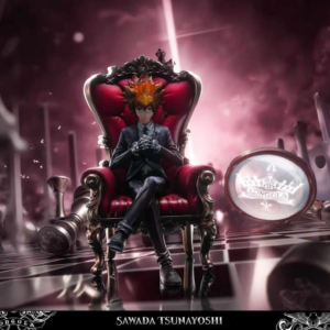 Reborn! - Sawada Tsunayoshi - Peak