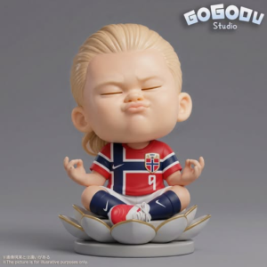 Erling Haaland - GOGODU