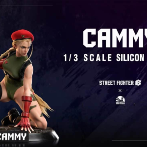 Street Fighter - Cammy - Infinity
