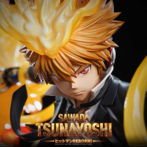 Hitman Reborn - Tsunayoshi Sawada - Game Over