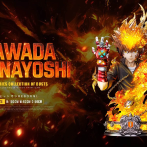 Hitman Reborn - Sawada Tsunayoshi - Lueying