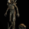 Alien - Big Chap - Premium Collectibles